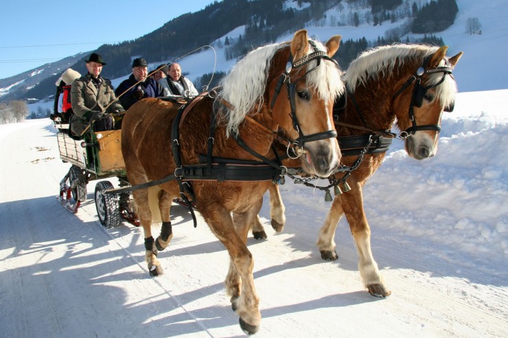 Pferdeschlittenfahrten in Schladming, Rohrmoos, Untertal und Obertal © Schladming-Dachstein_Herbert Raffalt